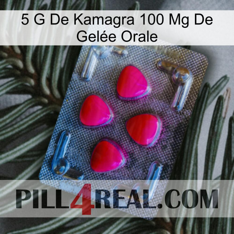 5 G De Kamagra 100 Mg De Gelée Orale 13